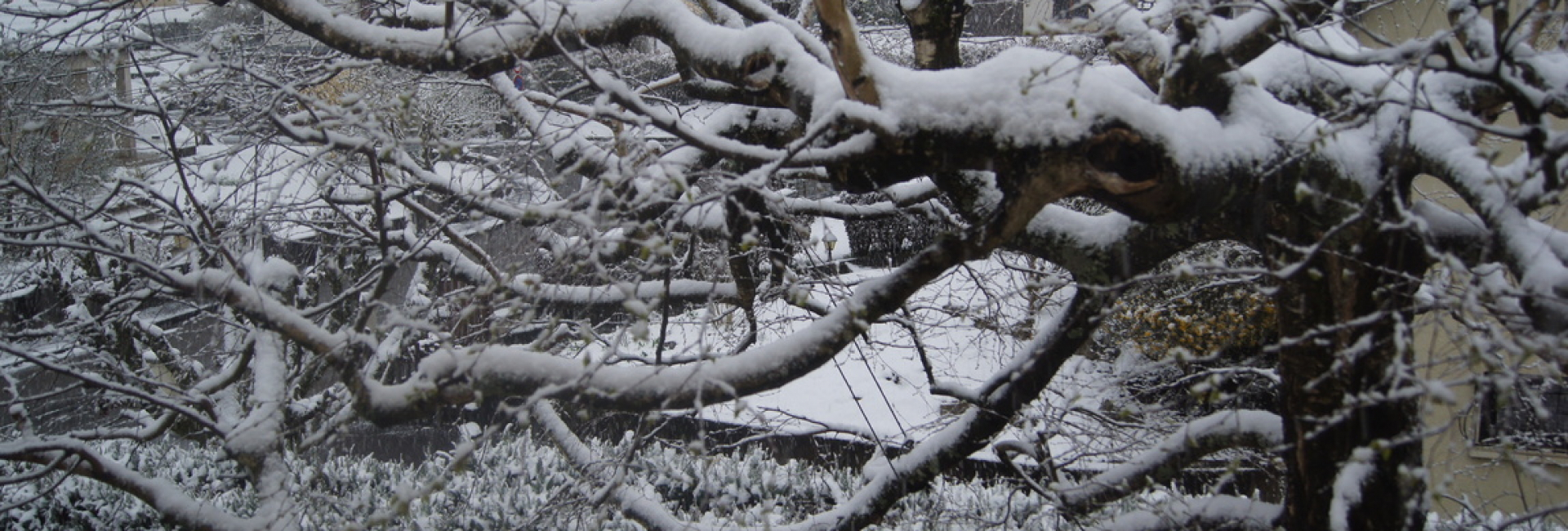 week end sous la neige